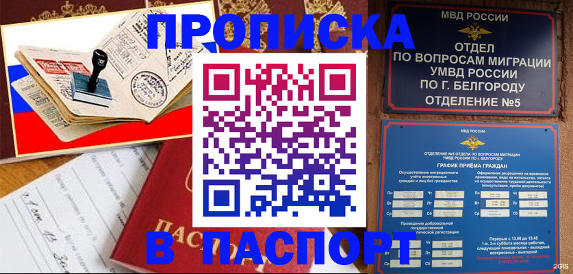 купить прописку в Чайковском